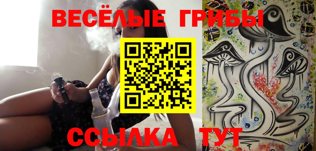 Псилоцибиновые грибы GOLDEN TEACHER  Вход с VPN  Арсеньев 